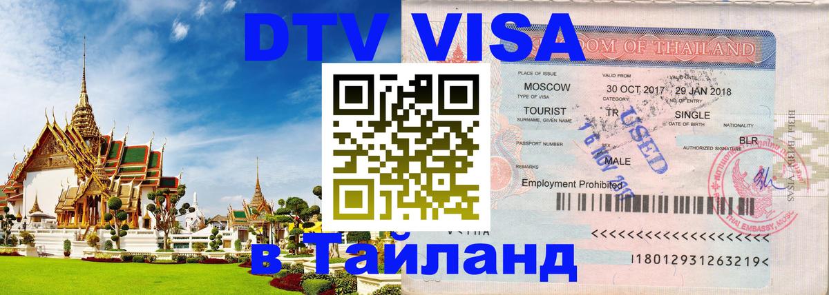Оформление DTV визы под ключ: стоимость и тарифы, только загранпаспорт - 